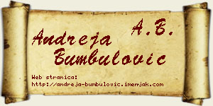 Andreja Bumbulović vizit kartica